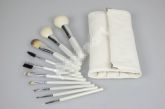 PINCEIS 10 BRUSHES